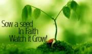 Sow A Seed_image